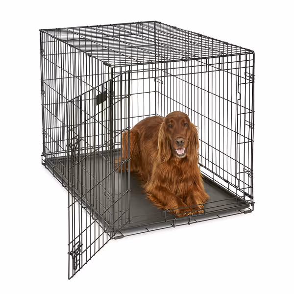 MidWest iCrate Folding Dog Crate