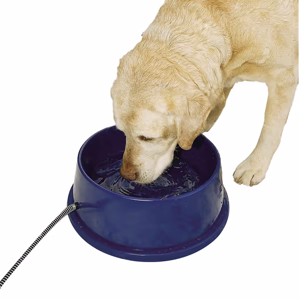 K&H Thermal-Bowl Heated Water Bowl